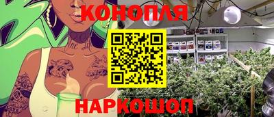 крисы Комсомольск-на-Амуре
