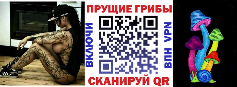 наркотики  Красноуфимск  Галлюциногенные грибы Cubensis 