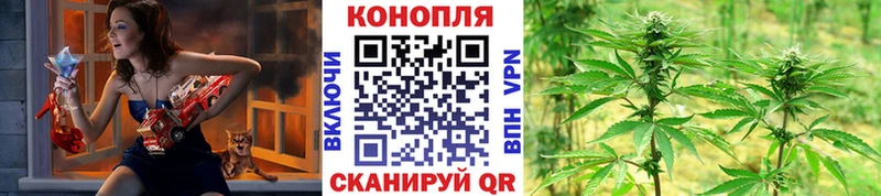 Марихуана гибрид Красноуфимск